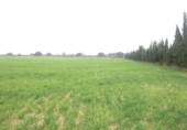Xalet independent amb terreny en venda a Roquetes ref.: TR15280 foto