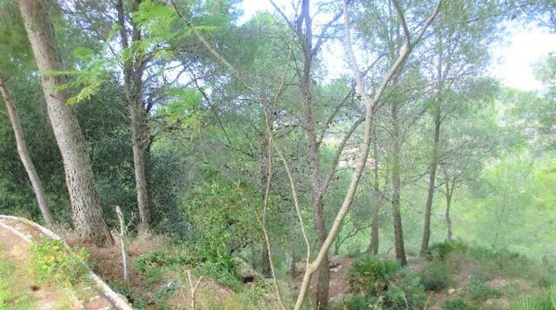 Tarragona - Tortosa - 2190m2