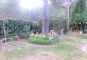 Xalet independent amb terreny en venda a Tortosa ref.: TR15277 foto