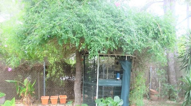 Tarragona - Tortosa - 2190m2