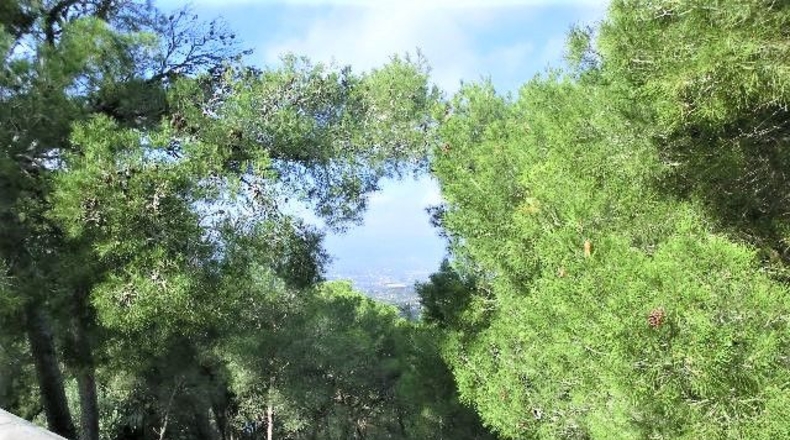 Tarragona - Tortosa - 2190m2