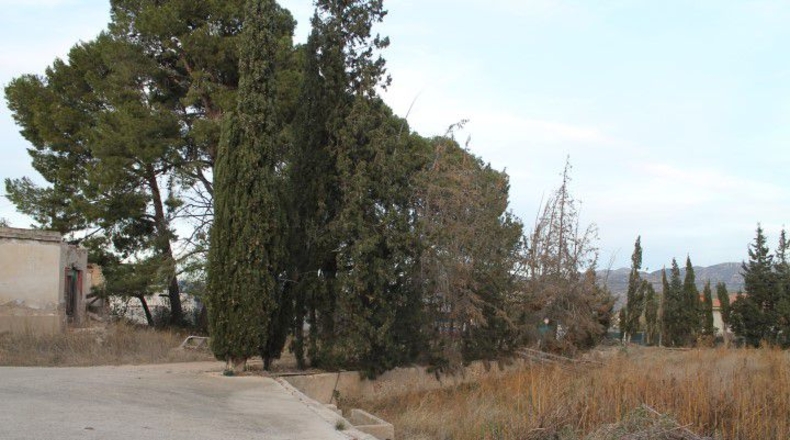 Tarragona - Tortosa - 1240m2