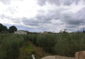 Фермерский дом с участком на продажу в городе Tortosa. Фото