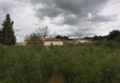 Фермерский дом с участком на продажу в городе Tortosa. Фото