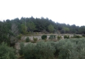 Фермерский дом с участком на продажу в городе Tortosa. Фото