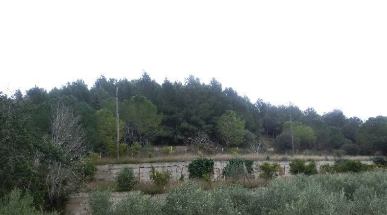 Tarragona - Tortosa - 1m2