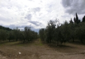 Фермерский дом с участком на продажу в городе Tortosa. Фото