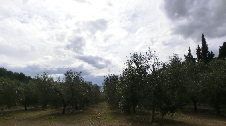 Tarragona - Tortosa - 1m2