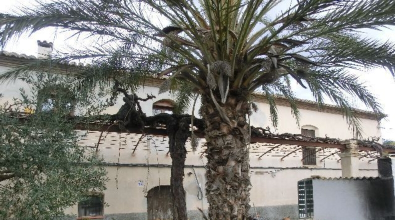 Tarragona - Tortosa - 1m2
