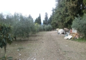 Фермерский дом с участком на продажу в городе Tortosa. Фото