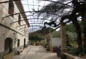 Фермерский дом с участком на продажу в городе Tortosa. Фото