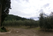 Фермерский дом с участком на продажу в городе Tortosa. Фото