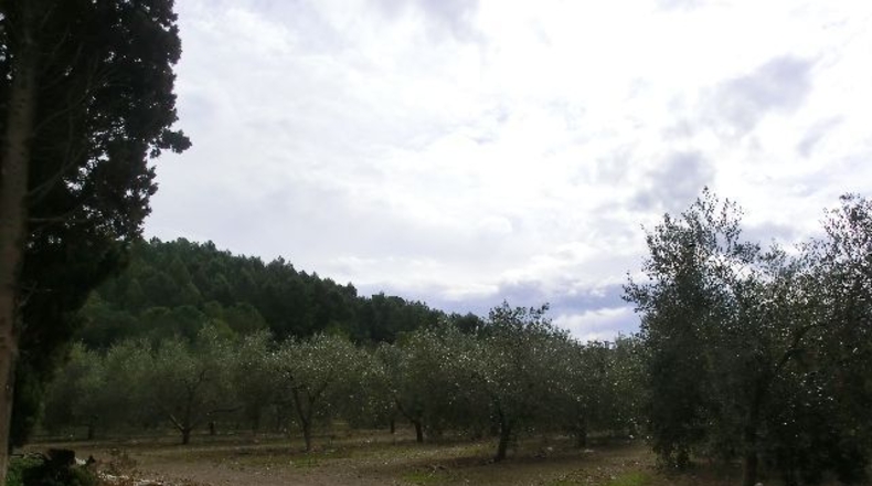 Tarragona - Tortosa - 1m2