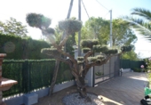 Chalet independiente con terreno en venta en Tortosa ref: TR15273 foto