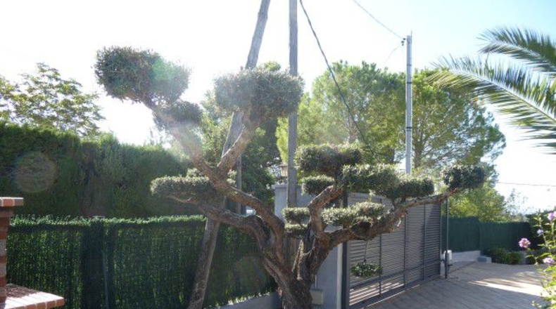 Tarragona - Tortosa - 1100m2