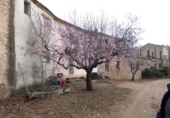 Casa de poble en venda a Alfara de Carles ref.: TR40913 foto
