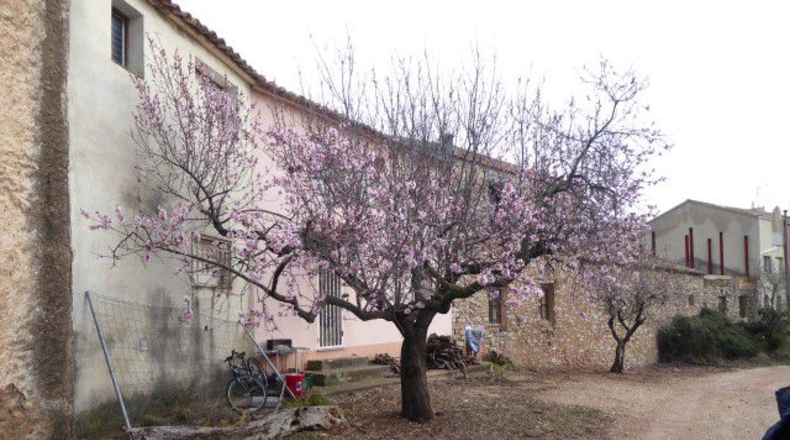 Tarragona - Alfara de Carles - 130m2