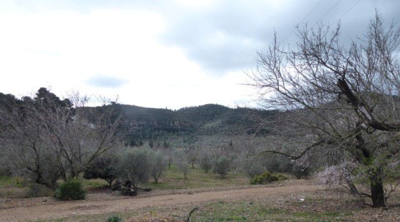 Tarragona - Alfara de Carles - 130m2