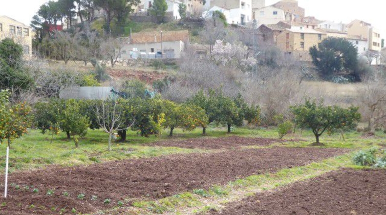 Tarragona - Alfara de Carles - 130m2