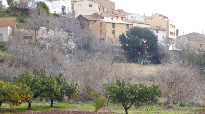 Tarragona - Alfara de Carles - 130m2