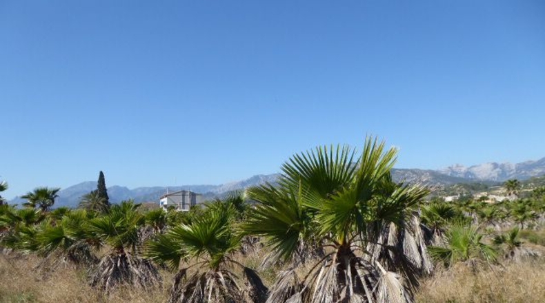 Tarragona - Xerta - 11000m2