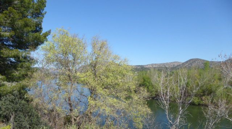 Tarragona - Xerta - 11000m2