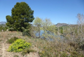 Foto 8