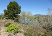 Terreno no urbanizable en venta en Xerta ref: TR33271 foto