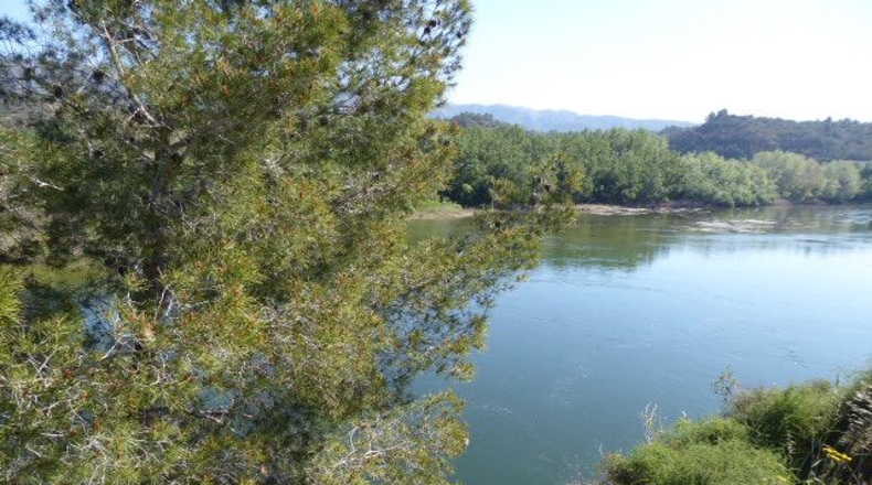 Tarragona - Xerta - 11000m2