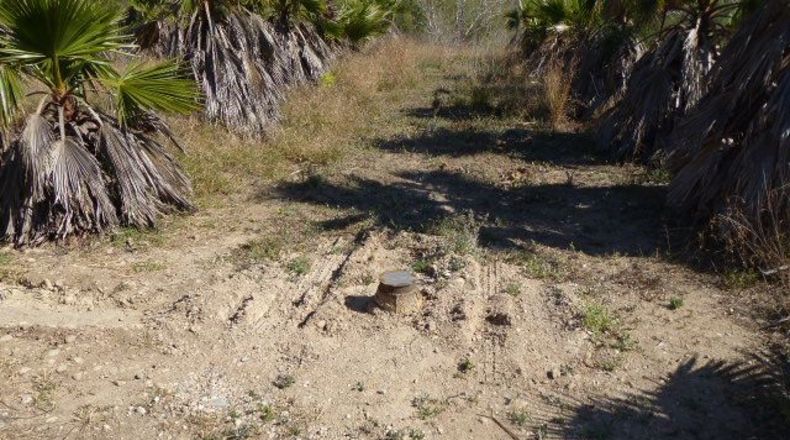 Tarragona - Xerta - 11000m2