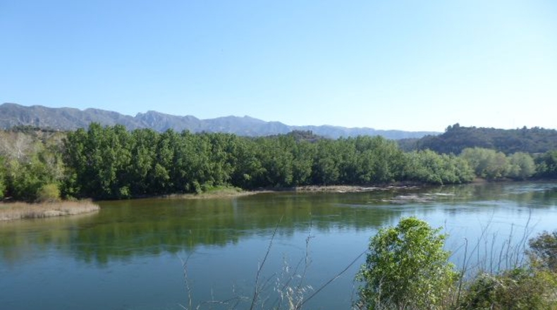 Tarragona - Xerta - 11000m2