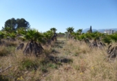 Terreno no urbanizable en venta en Xerta ref: TR33271 foto