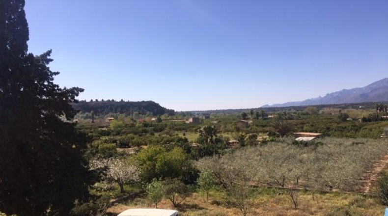 Tarragona - Tarragona - 37000m2