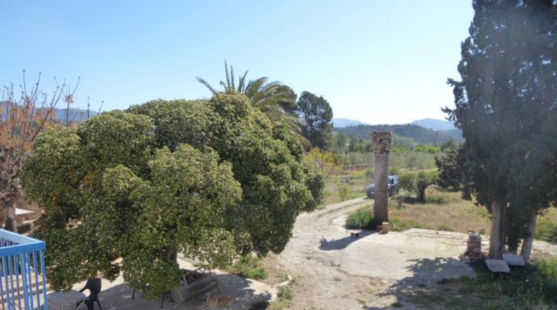 Tarragona - Tarragona - 37000m2