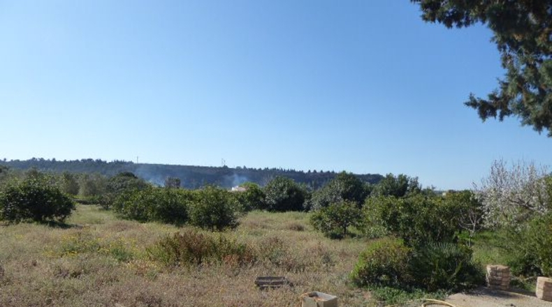 Tarragona - Tarragona - 37000m2