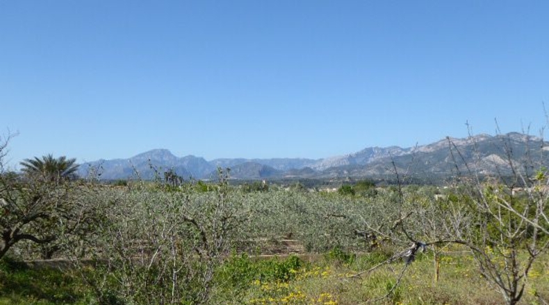 Tarragona - Tarragona - 37000m2