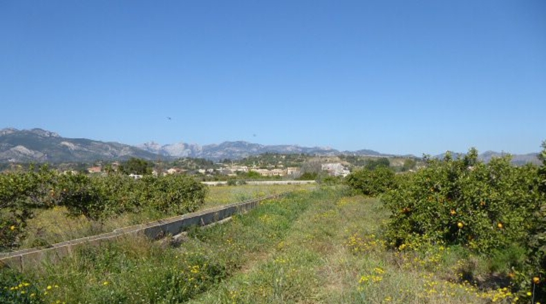 Tarragona - Tarragona - 37000m2