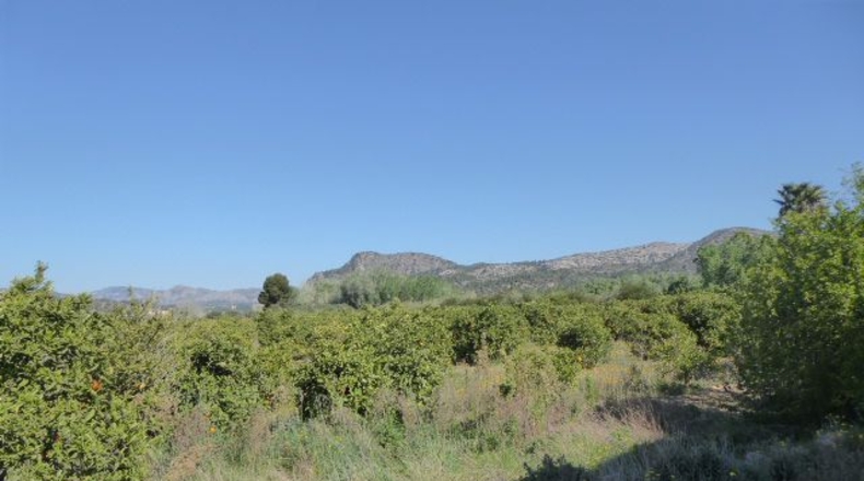 Tarragona - Tarragona - 37000m2