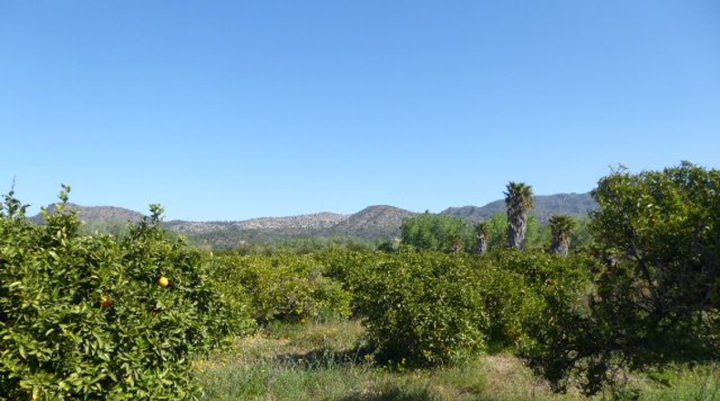 Tarragona - Tarragona - 37000m2