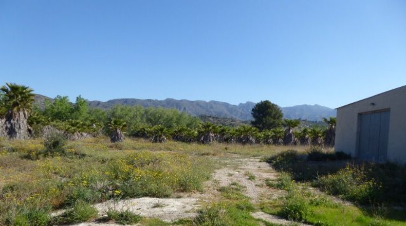 Tarragona - Tarragona - 37000m2