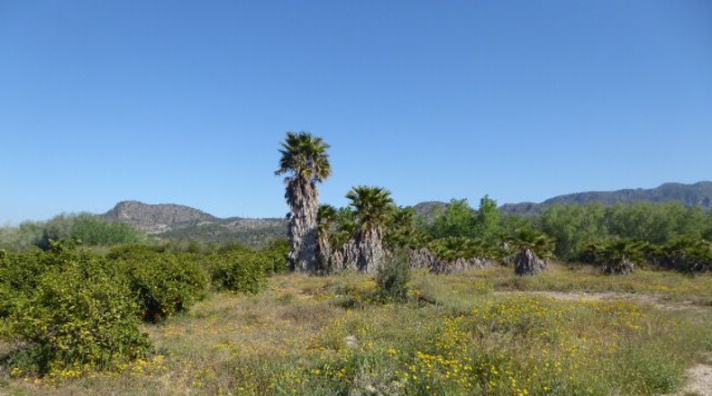 Tarragona - Tarragona - 37000m2