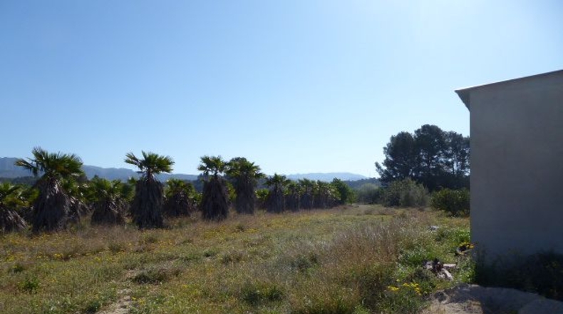 Tarragona - Tarragona - 37000m2