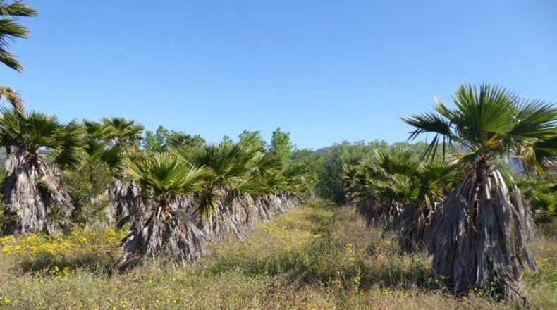 Tarragona - Tarragona - 37000m2