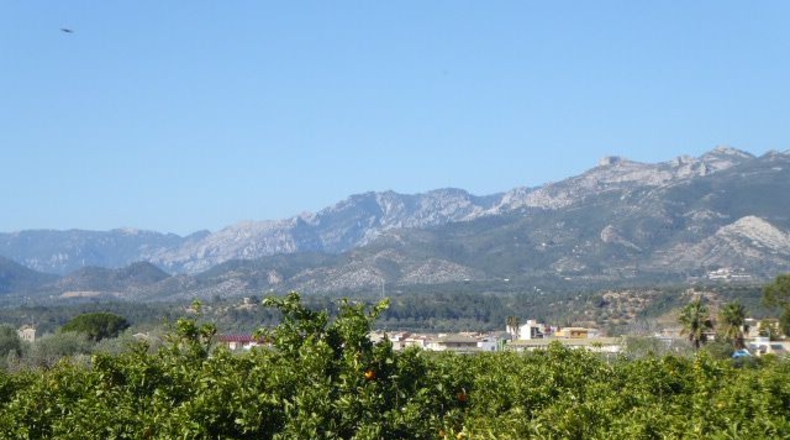 Tarragona - Tarragona - 37000m2