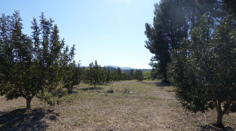 Tarragona - Tarragona - 37000m2