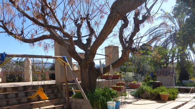 Tarragona - Tarragona - 37000m2