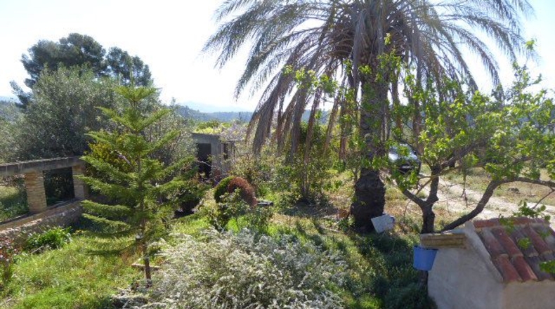 Tarragona - Tarragona - 37000m2
