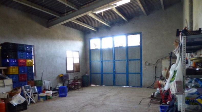 Tarragona - Tarragona - 37000m2