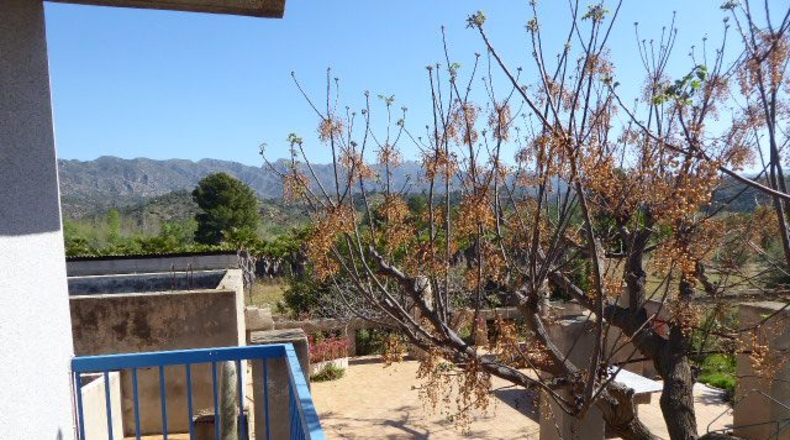 Tarragona - Tarragona - 37000m2