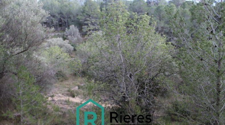 Tarragona - Tortosa - 8501m2